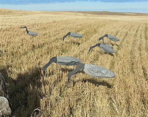 sandhill crane windsocks decoys.